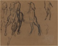 Study of Horses-ZYGR110272