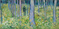 Vincent_van_Gogh-ZYMID_Undergrowth_with_Two_Figures