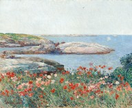 Poppies, Isles of Shoals-ZYGR103172
