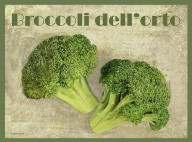 23825124 broccoli-guido-borelli