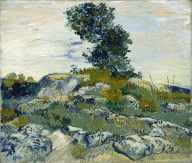 Vincent van Gogh The Rocks (1)