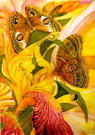 butterflies background (2)