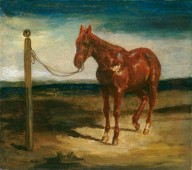A Horse Hitched to a Post-ZYGR89678