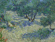 Vincent van Gogh - Olive Orchard, 1889