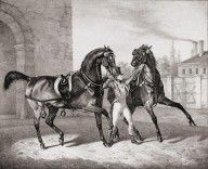 12001236_Carriage_Horses_For_The_King