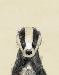 14103766_The_Badger