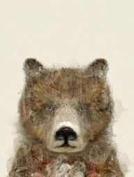 17018297_The_Grizzly