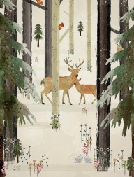 18749806_Natures_Way_The_Deer