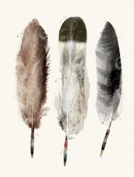 19362512_Native_Feathers