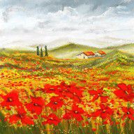 14306105_Field_Of_Dreams_-_Poppy_Field_Paintings