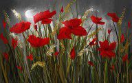 14370409_Moonlight_Poppies_-_Poppies_At_Night_Painting