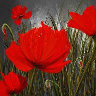 14372911_Immortal_Blooms_-_Red_And_Gray_Art