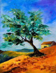 2725634_Olive_Tree_On_The_Hill