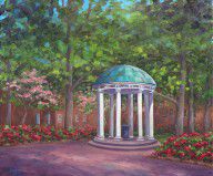6768802_Unc_Old_Well_In_Spring_Bloom