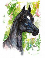 1459716_The_Black_Horse_1