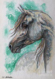 2414540_The_Grey_Arabian_Horse_13