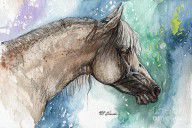 2690852_Balon_Polish_Arabian_Horse_Portrait_5