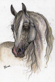 2660818_Grey_Arabian_Horse_Watercolor_Painting_3