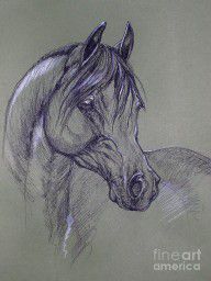 2279840_Arabian_Horse
