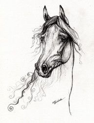 2293847_Arabian_Horse_Drawing_17