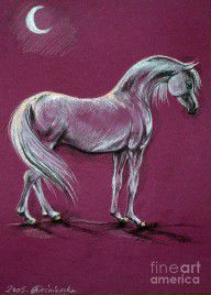 2280979_Arabian_Horse