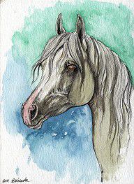 2436488_The_Grey_Arabian_Horse_16
