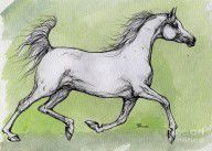2828720_running_Arabian_horse_painting_unfinished