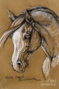 2985626_White_Horse_Soft_Pastel_Sketch