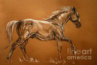 2985731_Andalusian_Horse_Soft_Pastel_Drawing