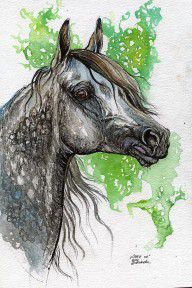 2637522_Grafik_Polish_Arabian_Horse_Watercolor_Painting
