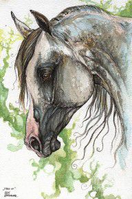 2595194_Piber_Polish_Arabian_Horse_Watercolor_Painting_2