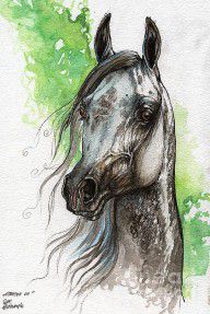 2595075_Ostragon_Polish_Arabian_Horse_Painting