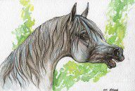 2594927_Neighing_Grey_Arabian_Horse_Painting