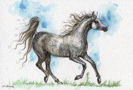 2573454_galloping_Grey_arabian_mare__watercolor_painting