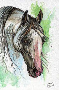 2573397_Arabian_Horse_Watercolor_Painting_1aa