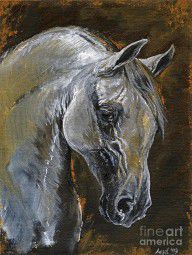 504730_The_Grey_Arabian_Horse_Oil_Painting