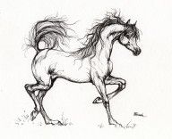 2238196_Arabian_Horse_Drawing_5