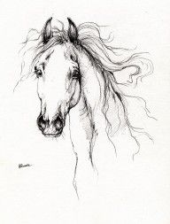 2191575_Arabian_Horse_Drawing_4