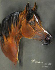 2116246_Bay_Horse_Portrait