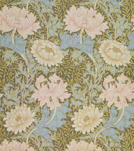 12015769_Chrysanthemum_Wallpaper