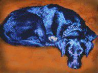 2826414_Sleeping_Blue_Dog_Labrador_Retriever