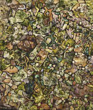 Soil Ornamented with Vegetation, Dead Leaves, Pebbles, Diverse Debris_June 1956