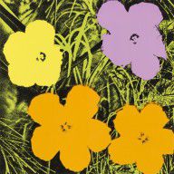 ZYMd-64282-Untitled from Flowers 1970
