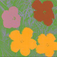 ZYMd-64288-Untitled from Flowers 1970