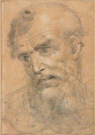 Giovanni_Antonio_Sogliani-ZYMID_Head_of_a_Bearded_Man_(recto)%3B_Study_for_a_sacra_conversazione_(ve