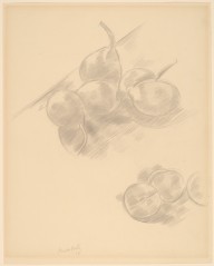 Plums and Pears-ZYGR72167