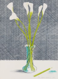David Hockney-Lillies (Stillife). 1971.