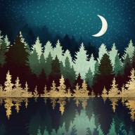 31381351 star-forest-reflection-spacefrog-designs 6600x6600px