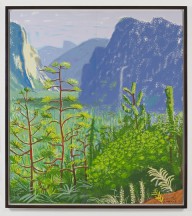 David Hockney-Yosemite 1  October 16th 2011  2011