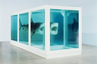 Damien Hirst-The Physical Impossibility of Death in the Mind of Someone Living  2013